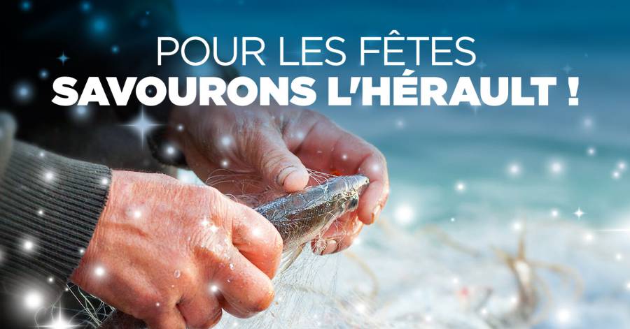 Hérault - Pour le réveillon : c'est poisson de Méditerrannée