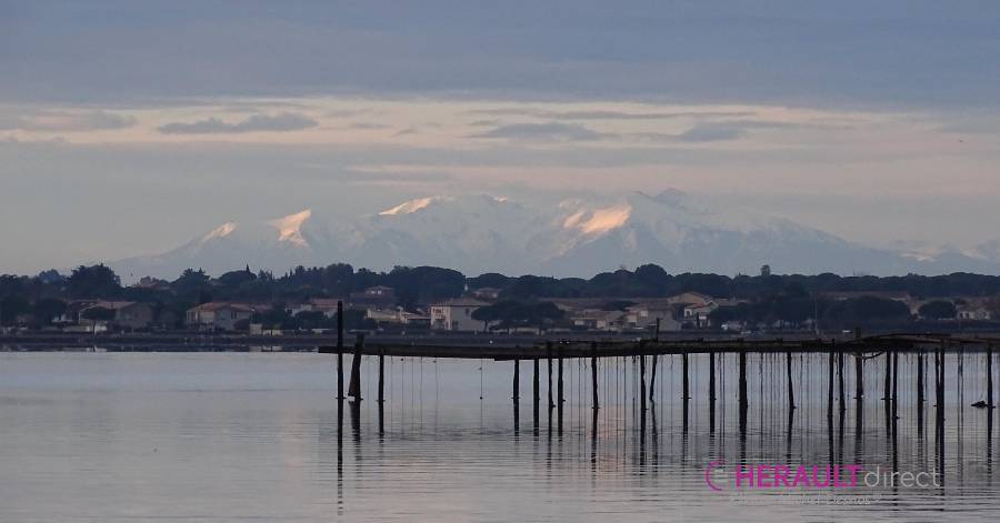 Marseillan - Des photos du Canigou vu de l'Etang de Thau !