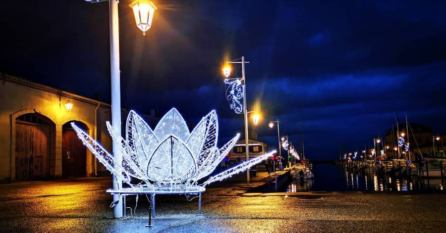 Marseillan - Palmarès du concours Illuminations de Noël 2020.
