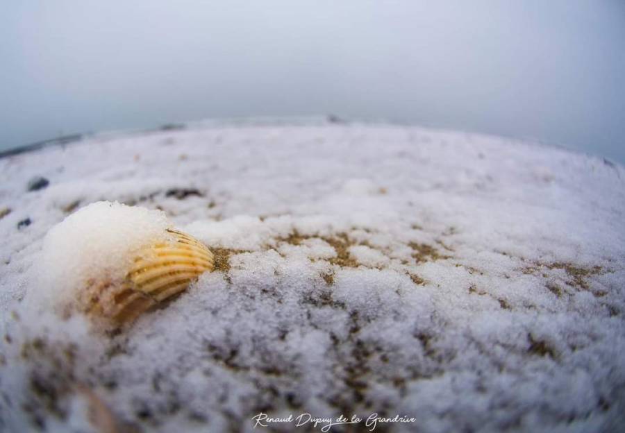 Cap d'Agde - La neige c'est pas tous les jours... Vous reprendrez bien quelques photos.