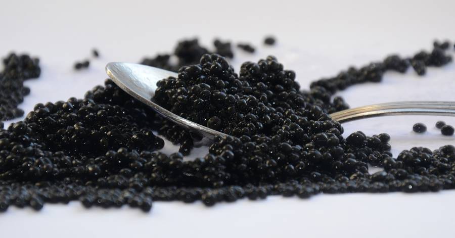 Hérault - Du caviar responsable 100% Héraultais !