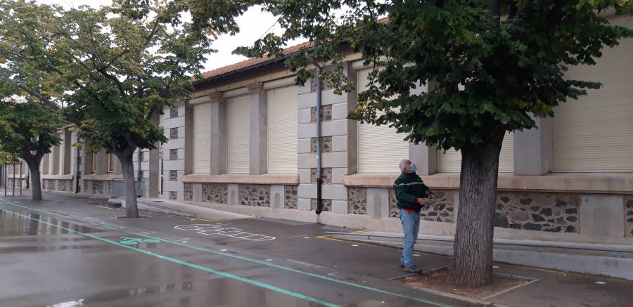 Bessan - Un bilan santé bien utile pour les arbres du groupe scolaire Victor Hugo
