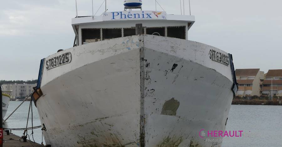 Agde - La flotte de chalutiers Di Santo s'agrandit.