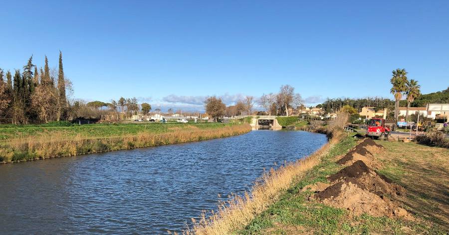 Portiragnes - VNF - Campagne 2021 – Abattage des platanes et replantation du Canal du Midi.