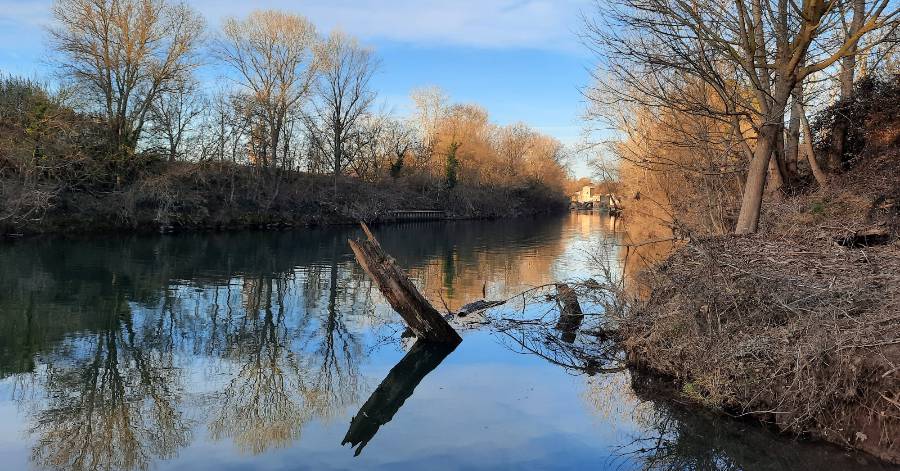 Florensac - Entretien des berges du fleuves Hérault !