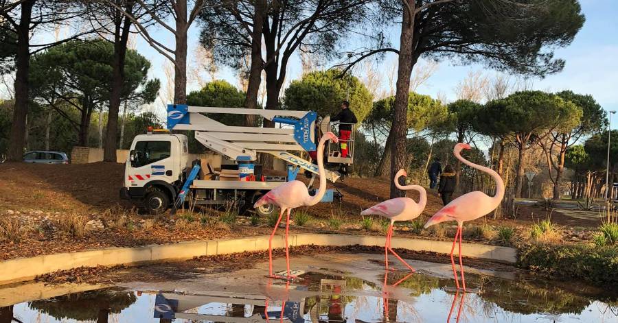 Portiragnes - Biodiversité - Installation de nichoirs à oiseaux