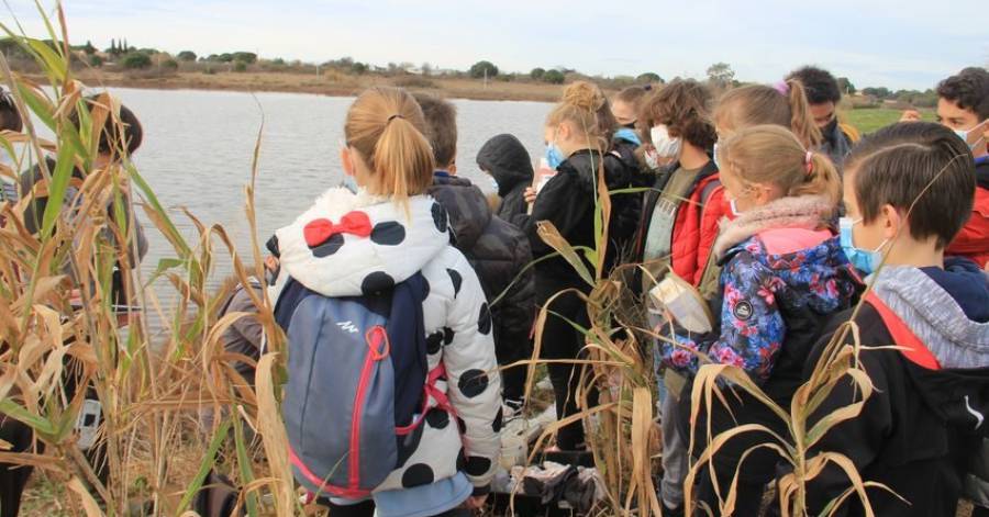 Marseillan - Le parc du Boudas pour salle de classe !