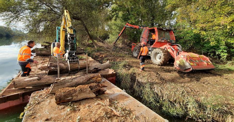 Saint-Thibéry - Les travaux d'entretien des berges de l'Hérault ont débuté.