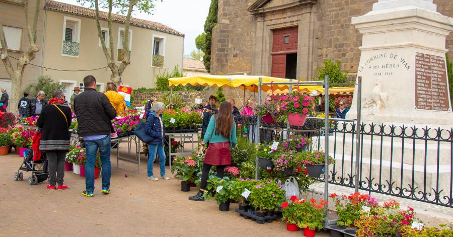 Vias - Les inscriptions sont ouvertes pour Vias Terroir Fleuri !