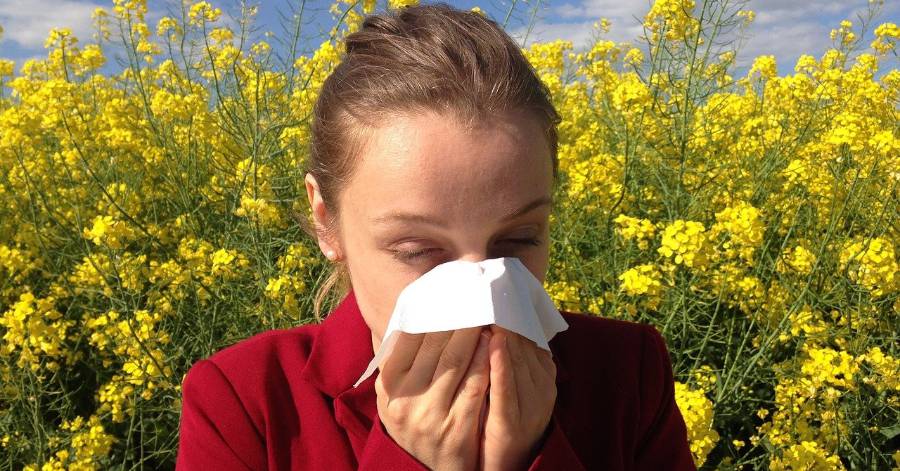 Hérault - Le beau temps arrive très vite et les pollens également. Attention, les allergies ne sont plus très loin !