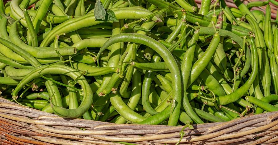 France - Pourquoi une alimentation saine et sa production locale devraient faire partie de la réponse à la Covid-19
