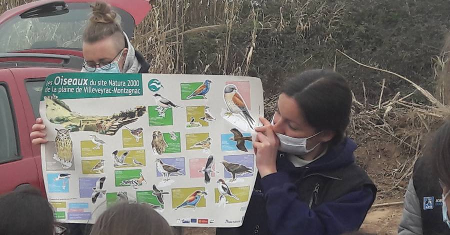 Montagnac - Un lâcher de faucons sous les yeux émerveillés de 35 enfants
