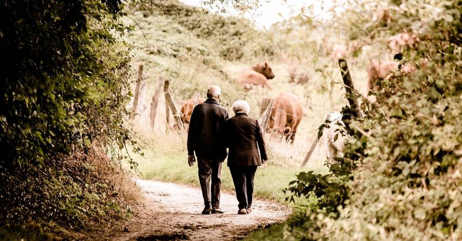 France - Pourquoi n'avons-nous pas de traitements contre la maladie d'Alzheimer ?