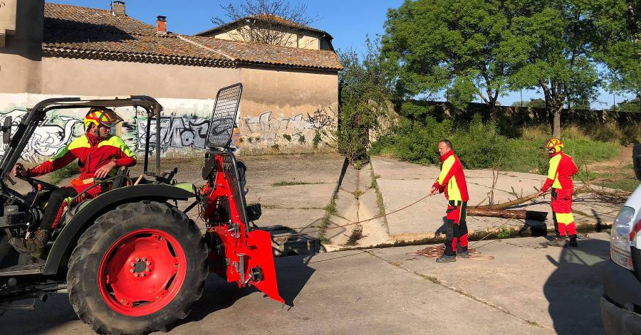 Pézenas - Évacuation des arbres morts des berges de la rivière Peyne