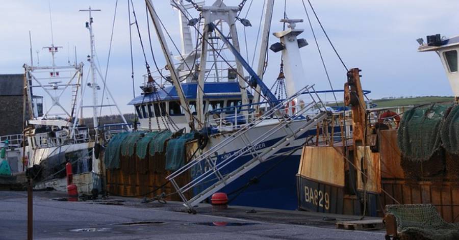 Occitanie - Pour soutenir la pêche en Occitanie, la Région adopte un plan de 4 M€
