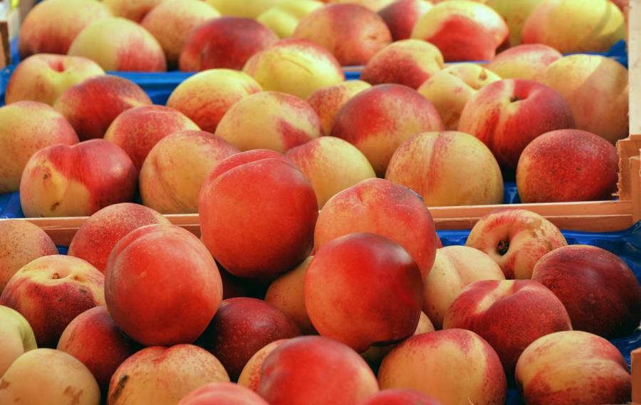 Marseillan - A partir du 15 juin: retour du Grand marché de la Plage
