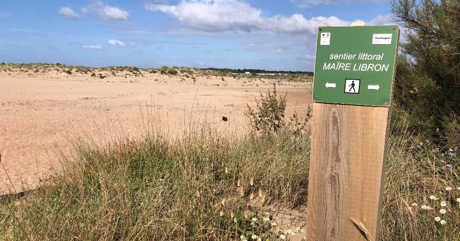 Portiragnes - Préparation de la saison estivale 2021: dernière ligne droite !