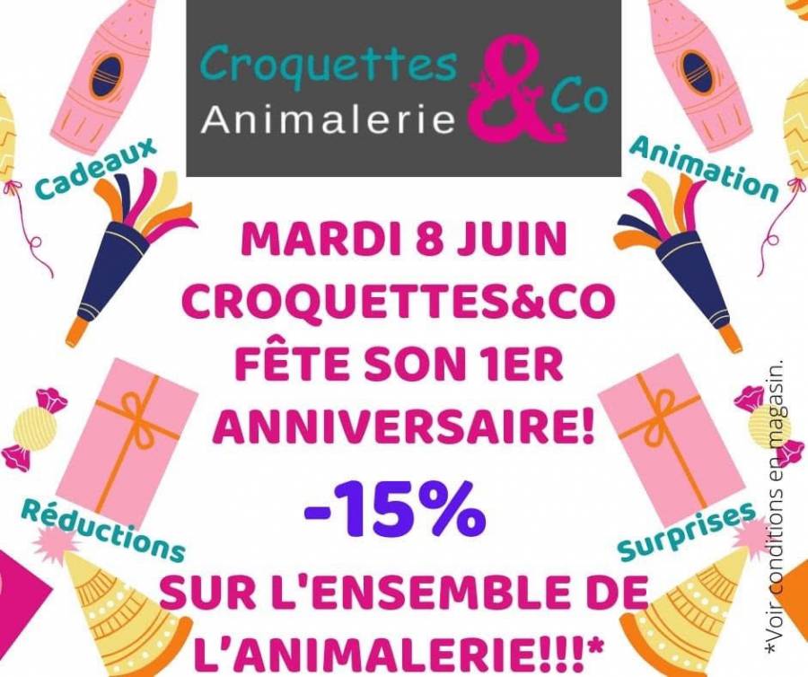 Agde - Croquettes & Co fête son premier anniversaire ! Venez découvrir une boutique incontournable