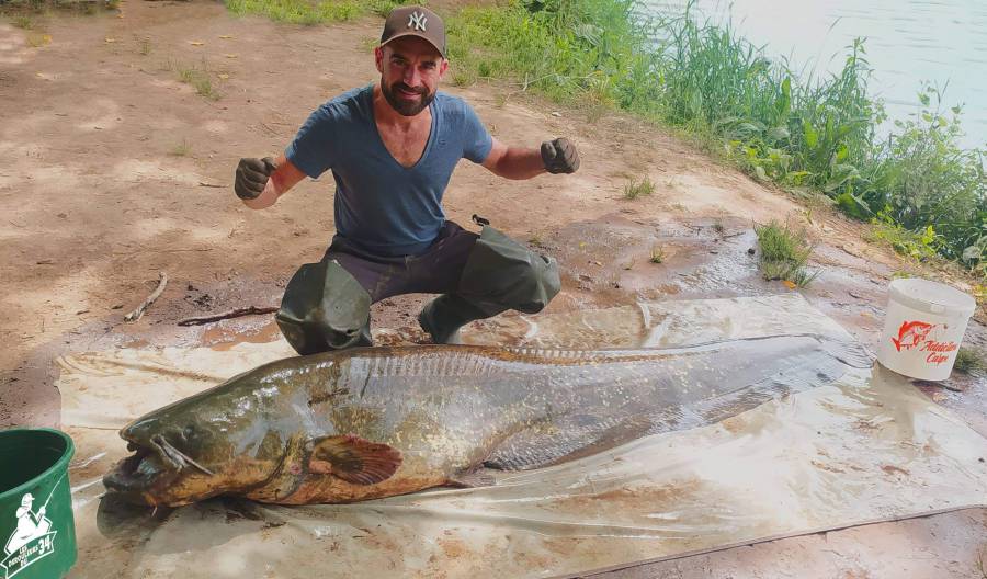 Bessan - Un nouveau monstre pêché dans le fleuve Hérault entre Agde et Bessan