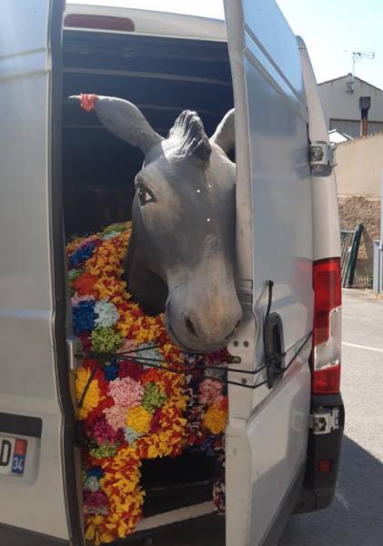 Bessan - Tour de chauffe manqué pour l'âne totem invité au mariage de la Baragogne