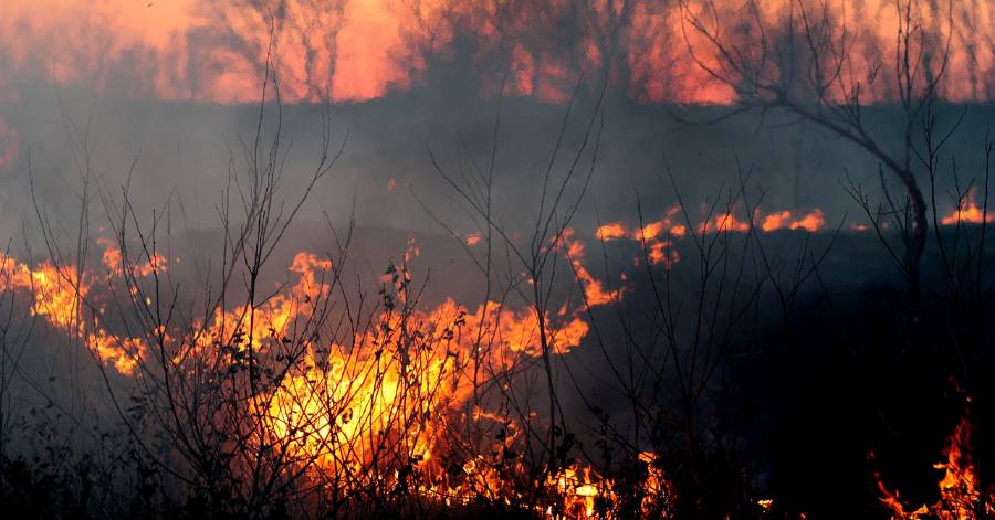 Hérault - Interdiction toute l'année sur l'ensemble du Département de l'Hérault afin de prévenir les incendies.
