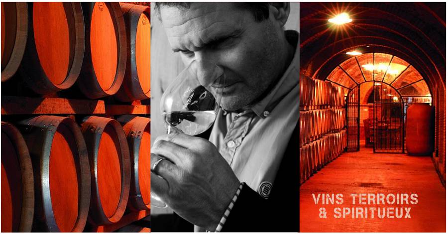 Hérault - Iain MUNSON, œnologue et Master of Wine célèbre 15 ans de savoir-faire au service de MAISON JEANJEAN.