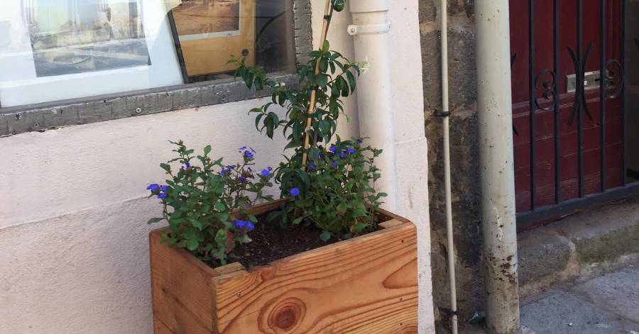 Agde - Les Agathois se mobilisent pour refleurir leur centre-ville