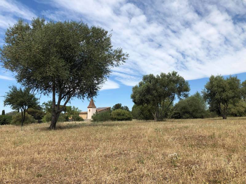 Bessan - Un parc de détente et de loisirs s'imagine autour de Saint-Claude