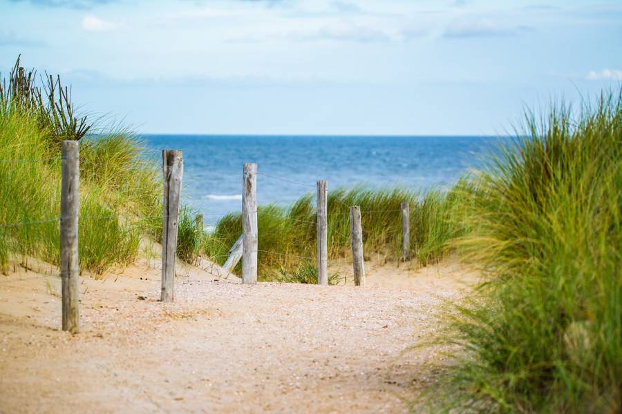 Cap d'Agde - Seize naturistes verbalisés dans la réserve naturelle du Bagnas.