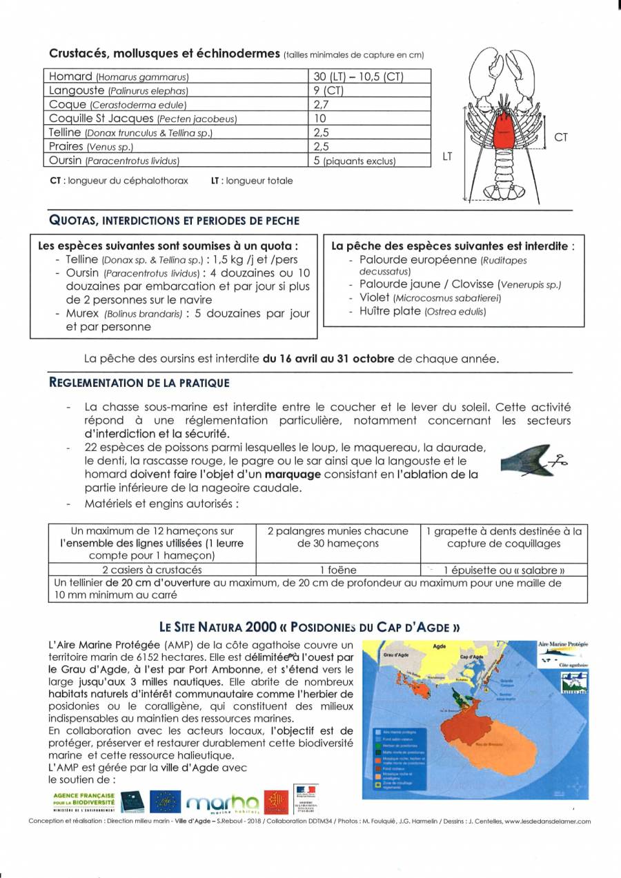 Cap d'Agde - Pêche - Voici les tailles et périodes de quelques espèces, à respecter pour le secteur de l'Hérault !