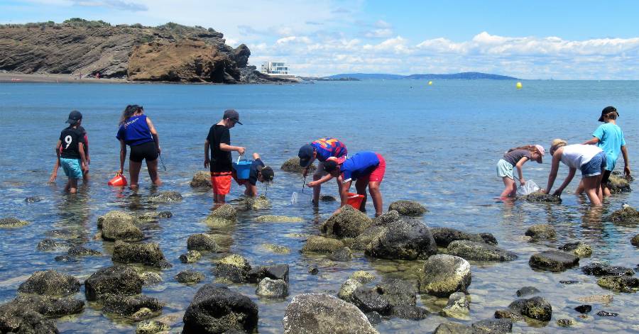 Cap d'Agde - Sensibiliser les élèves des écoles primaires à la biodiversité