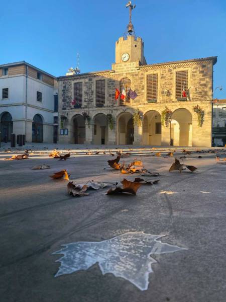 Bessan - Le beffroi de la mairie bientôt réhabilité pour réparer les conséquences du temps