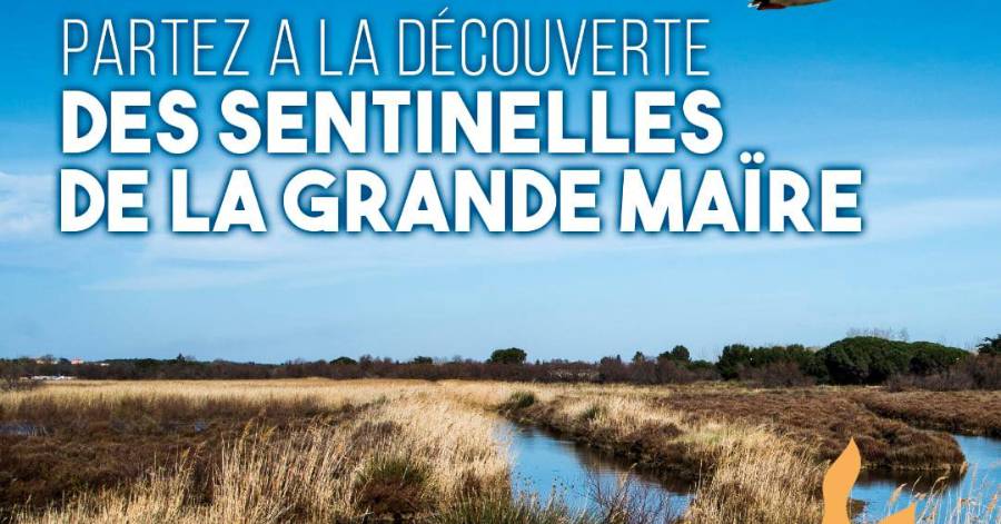 Portiragnes - Journées du Patrimoine : Partez à la découverte de la Grande Maïre !