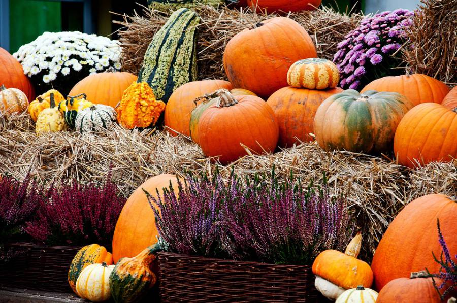 Bessan - Annulé l'an dernier, le grand marché agricole et au terroir se prépare