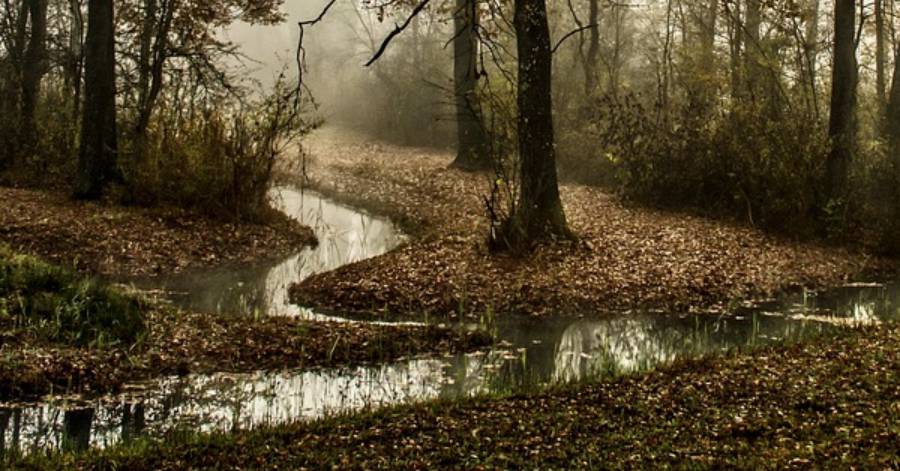 Hérault - Le Département de l'Hérault primé pour son plan routes et biodiversité