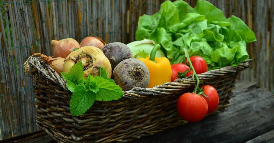 Occitanie - La Région Occitanie relance l'opération « Bien manger pour tous » en soutien aux étudiants