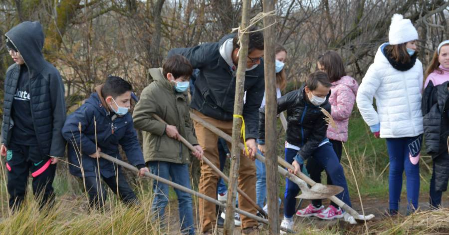 Agde - Une plantation d'arbres pour les verdisses à Agde !