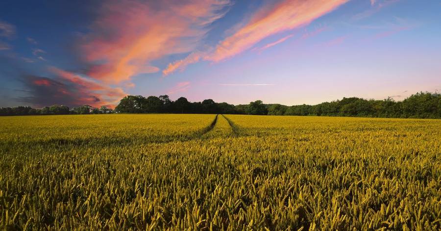 Hérault - Les six chantiers prioritaires pour l'avenir de l'agriculture française