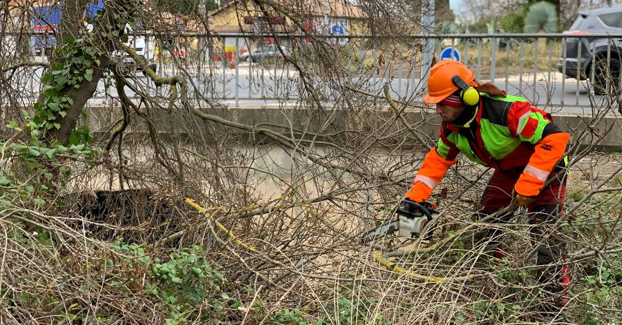 Pézenas - Patrimoine arboré : entretien du ruisseau des aires à Pézenas