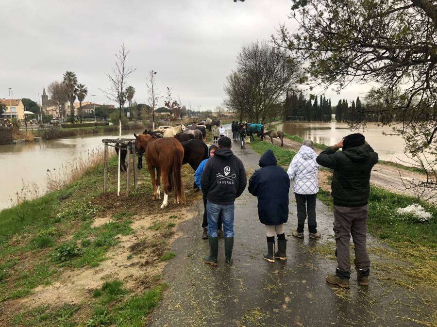 Portiragnes - Inondation : Le point sur la situation à Portiragnes