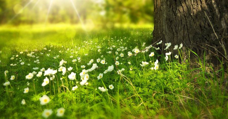 Occitanie - Plan Noé : la Nature en Occitanie… Évidemment !