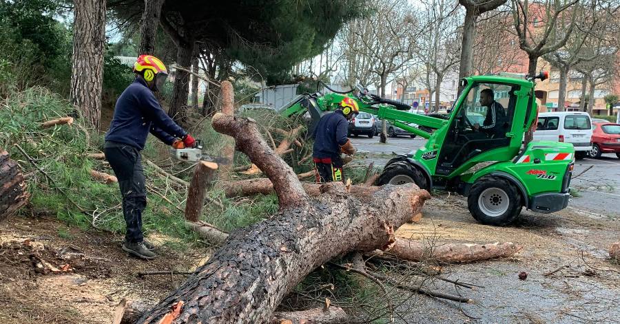 Agde - Plusieurs interventions pour retirer les nombreux arbres déracinés