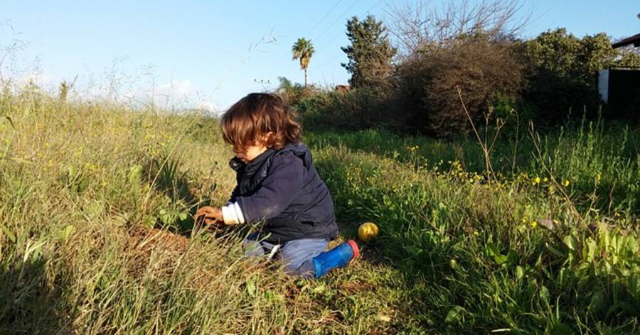 Hérault - En ville, les écoles « nature » sont-elles possibles ?