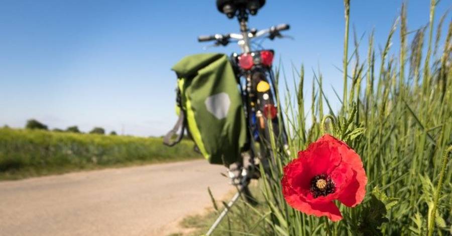 Portiragnes - Redout'Bike à Portiragnes : le festival vélo !