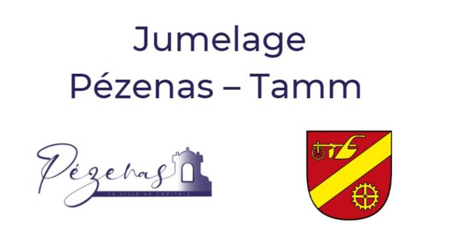 Pézenas - Réunion publique de constitution de l'association de jumelage Pézenas – Tamm