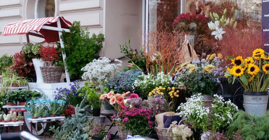 Grau d'Agde - Les floralies du Grau d'Agde c'est le 8 mai prochain !