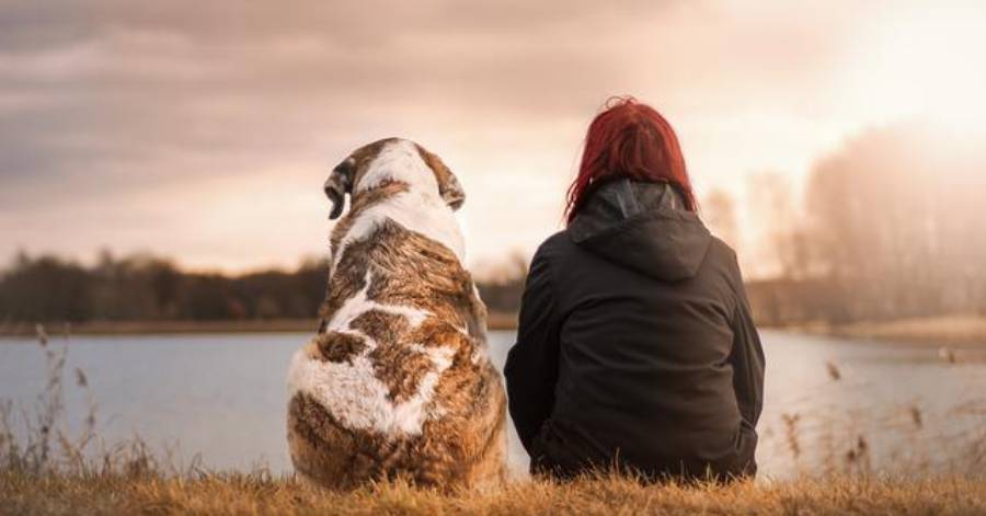 Hérault - Les femmes sont-elles plus attachées aux animaux que les hommes ?