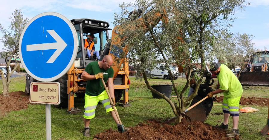 Agde - Le rond-point des joutes à Agde fait peau neuve !