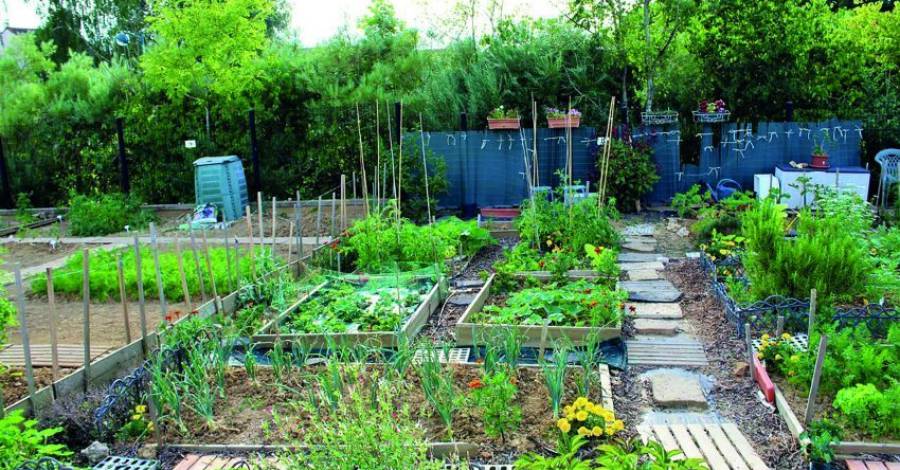 Marseillan - La Municipalité souhaite créer des jardins familiaux à Marseillan !