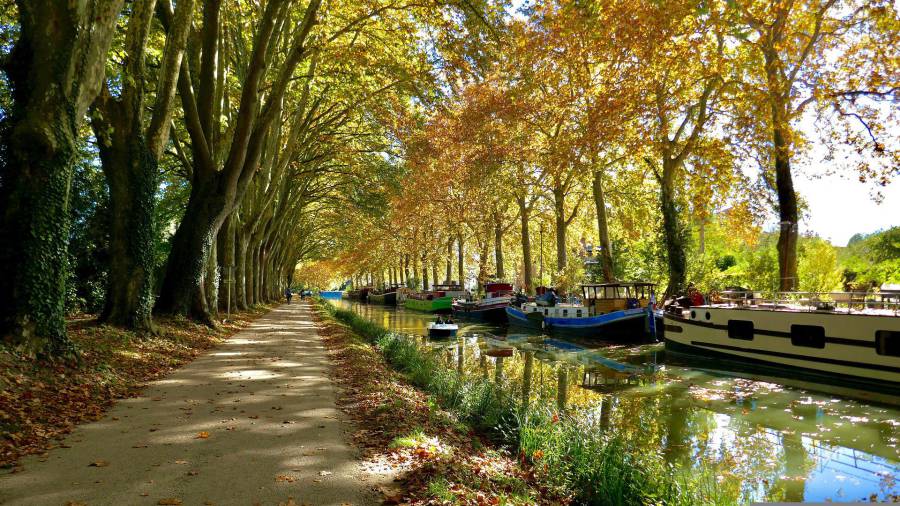Marseillan - Escale du Canal du Midi : Soirée conviviale et festive ! Samedi 2 juillet à la Pointe des Onglous de 19h à 23h